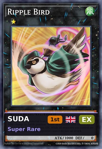 Ripple bird suda 088 - bird, 1st