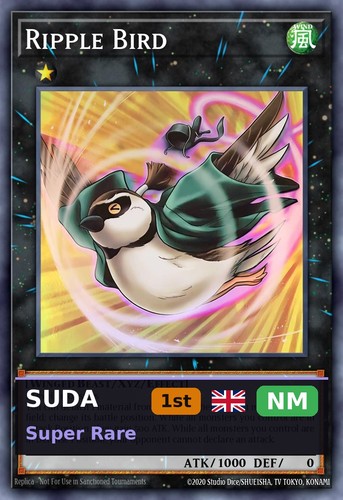 Ripple bird suda - ripple, 1st